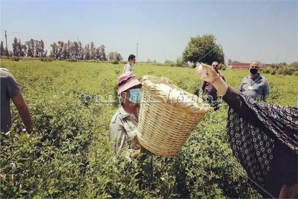 صورة موضوعية