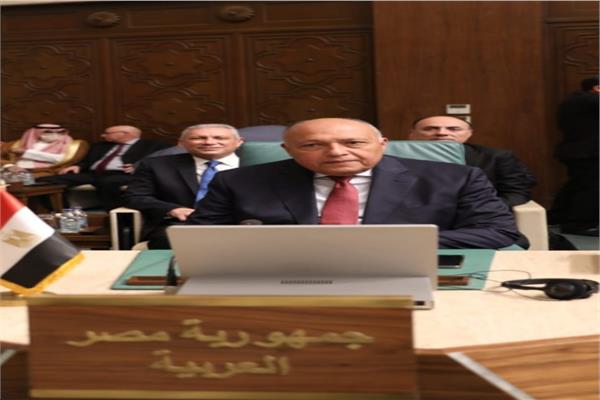 سامح شكري