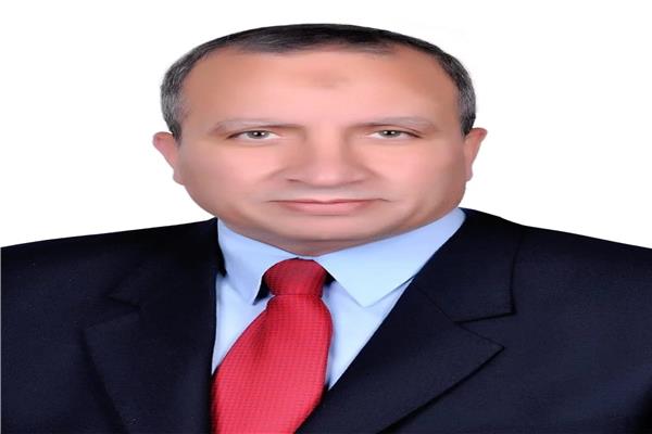 الدكتور السيد الشرقاوي
