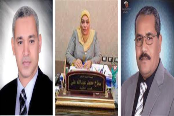 صورة موضوعية