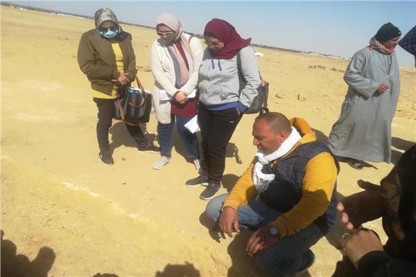 صورة موضوعية