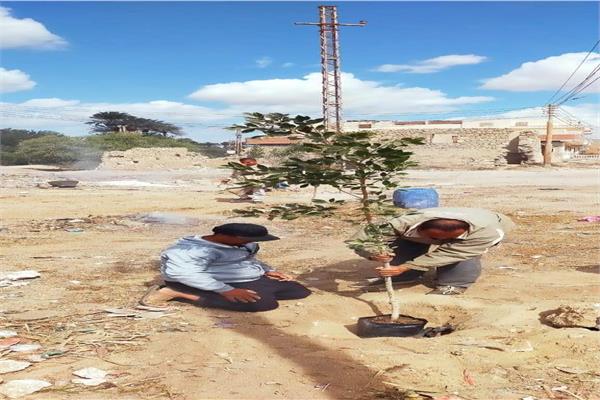 تشجير المناطق بعد رفع التراكمات 
