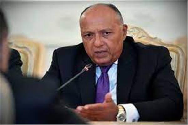 وزير الخارجية سامح شكري