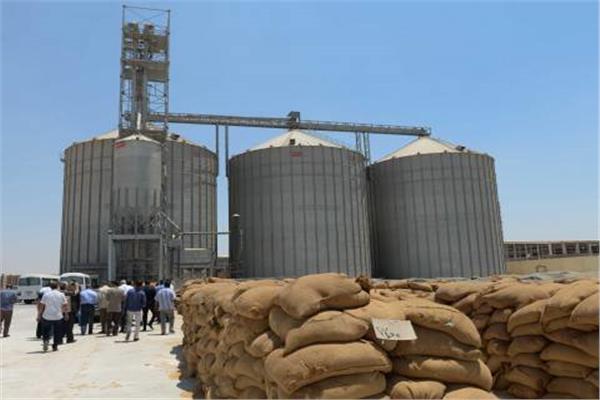 صوامع القمح
