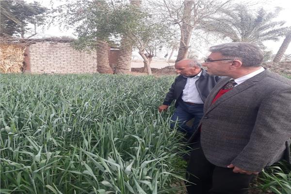 صورة موضوعية