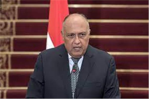 وزير الخارجية سامح شكري