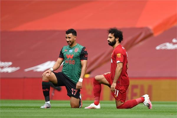 صلاح وتريزيجه