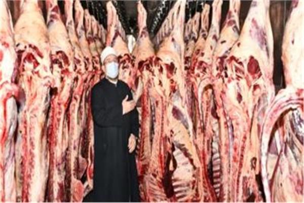 صورة ارشيفية