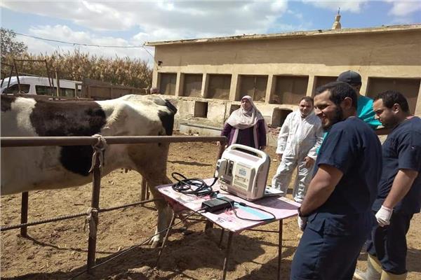 بيطري القاهرة ينظم قافلة طبية ضمن مبادرة حياة كريمة