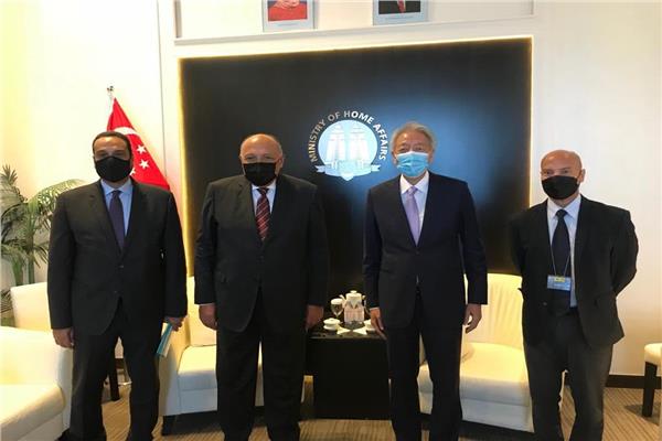 شكري يلتقي كبير وزراء سنغافوره لتنسيق السياسات الامنية
