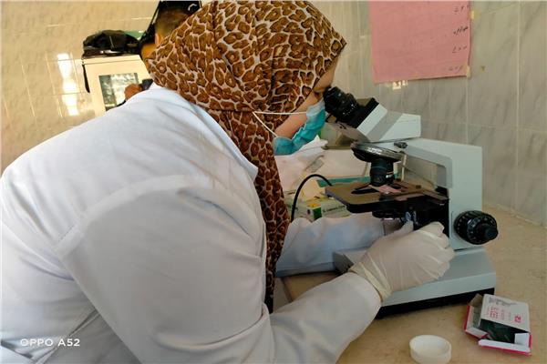 صورة  موضوعية