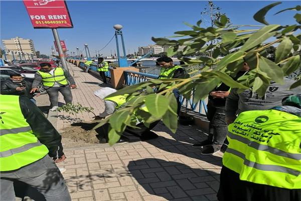 حملة تشجير لميادين أسيوط 