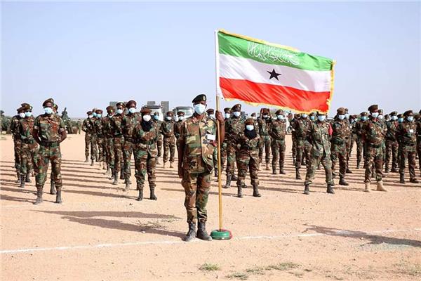  الجيش الوطني الصومالي