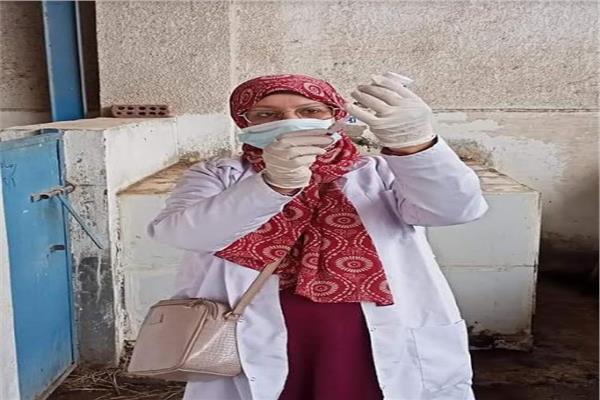 صورة موضوعية