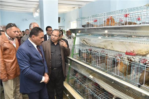 صورة موضوعية