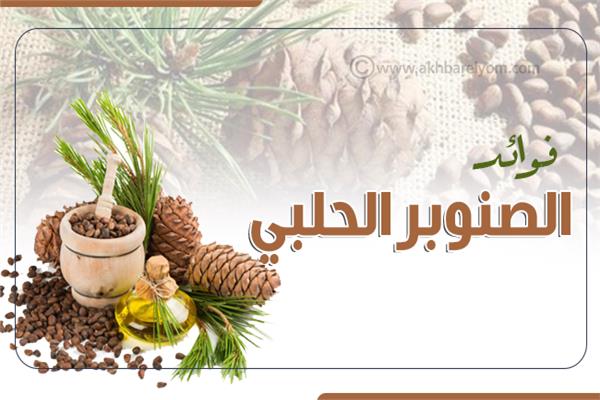 إنفوجراف| فوائد الصنوبر الحلبي