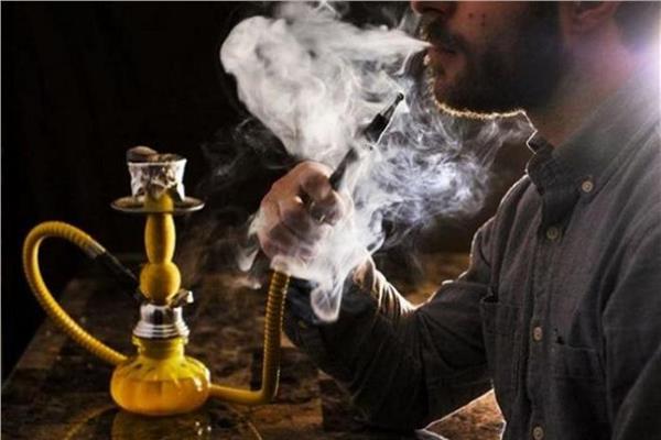 الشيشة 