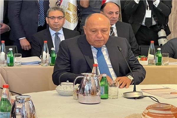 شكري يشارك في الاجتماع السداسي 