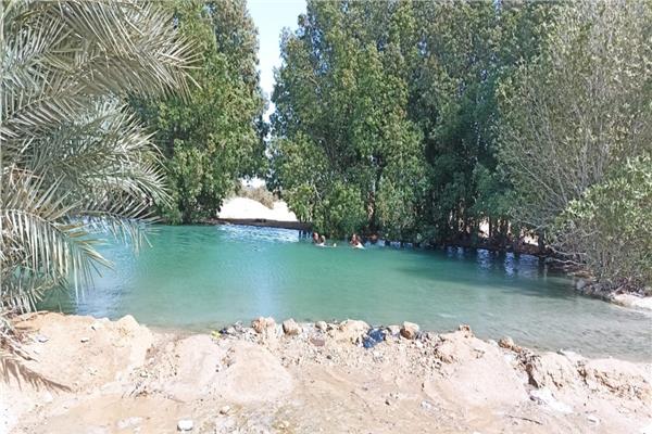 صورة موضوعية
