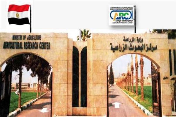 صورة موضوعية