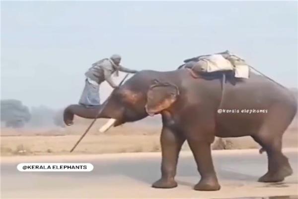 صورة من الفيديو