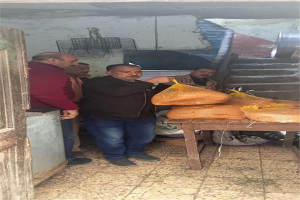 محافظ أسيوط: ضبط 225 كيلو لحوم ودهون حيوانية غير صالحة للاستخدام 