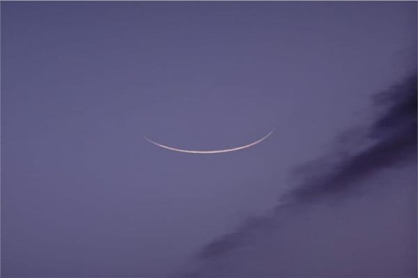 صورة موضوعية