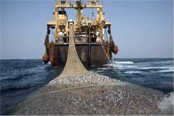 صوره أرشيفية