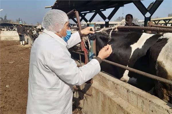 صورة موضوعية