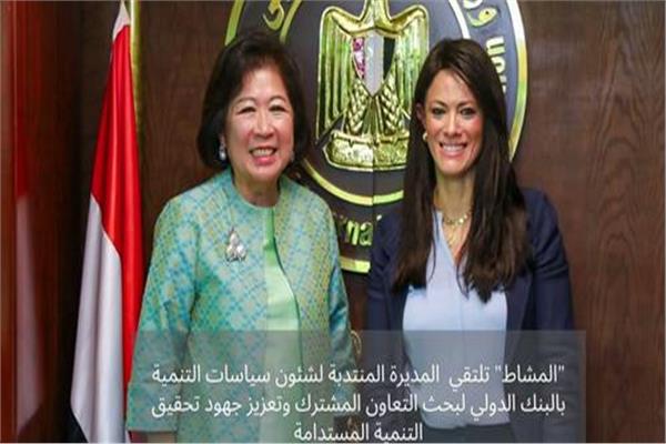 المشاط تلتقي ممثل البنك الدولي