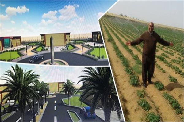 التنمية في سيناء