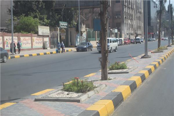 صورة موضوعية