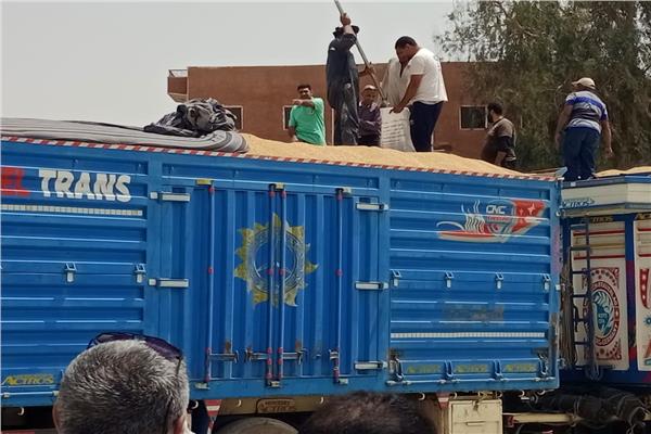 صورة موضوعية