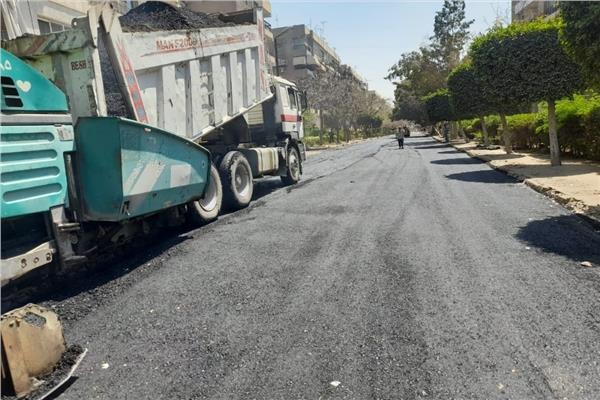 صورة موضوعية