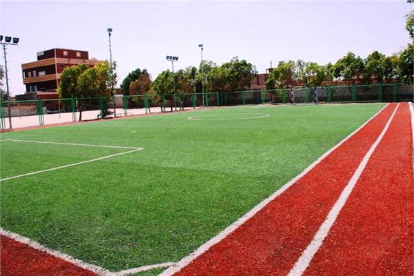 صورة موضوعية