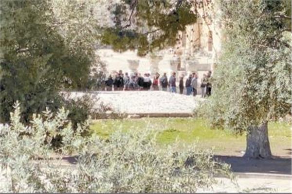 صورة نشرها «معا» الفلسطينى تظهر عددًا من الأسرى مكبلى الأيدى لدى نقلهم من جانب الاحتلال