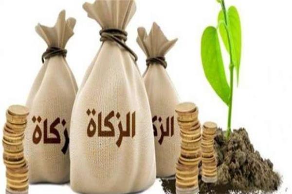 ارشيفية