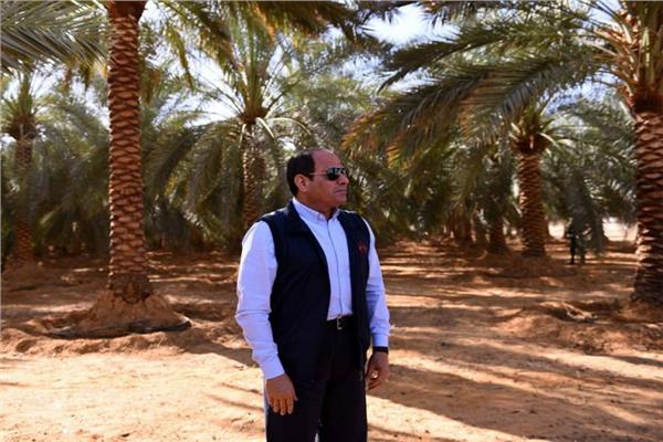 الرئيس السيسي في توشكي
