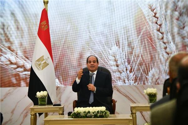 الرئيس السيسي خلال اللقاء