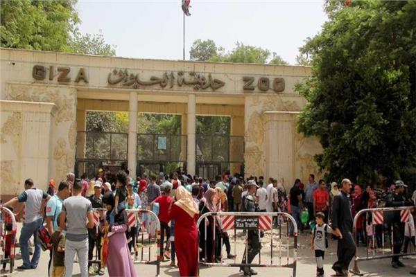 صورة موضوعية