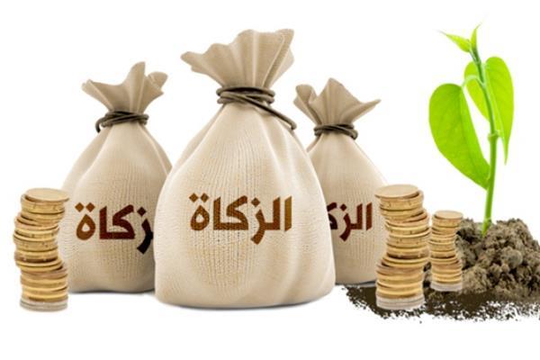  دار الإفتاء