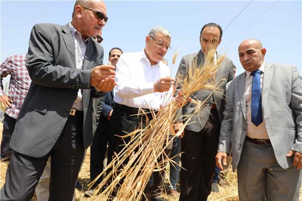 محافظ المنيا يشهد حصاد محصول القمح بأحد الحقول بمركز سمالوط