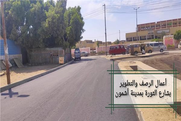 صورة موضوعية