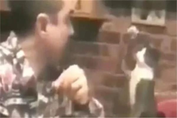 قطة تتحدث بلغة الإشارة مع صاحبها الأصم