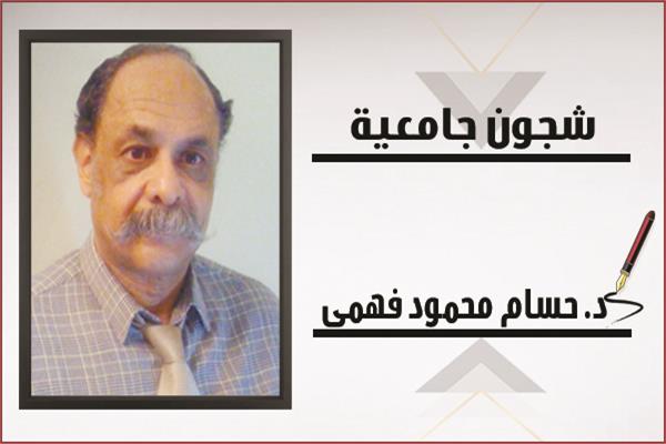 حسام محمود فهمى