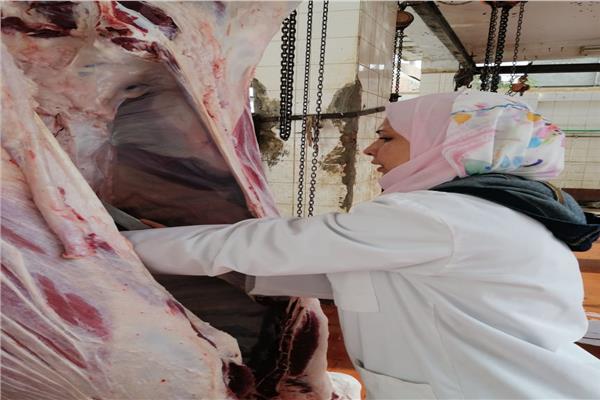 الطب البيطرى بالغربية يضبط لحوم مجهولة بالأسواق 