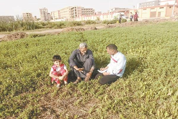 أحد المزارعين يتحدث عن احتياجات مزارعى الذرة والخضراوات