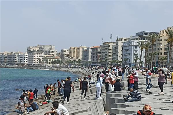 محافظة الإسكندرية
