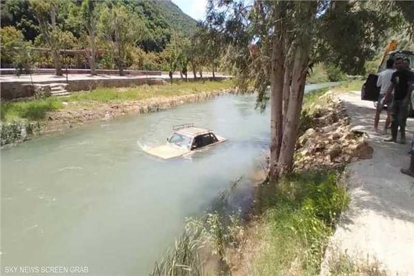 صورة موضوعية 