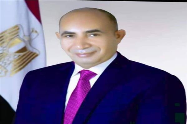 المهندس إسماعيل رضوان وكيل وزارة الزراعة بالمنيا